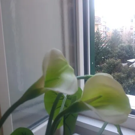 Apartment Happy Holidays